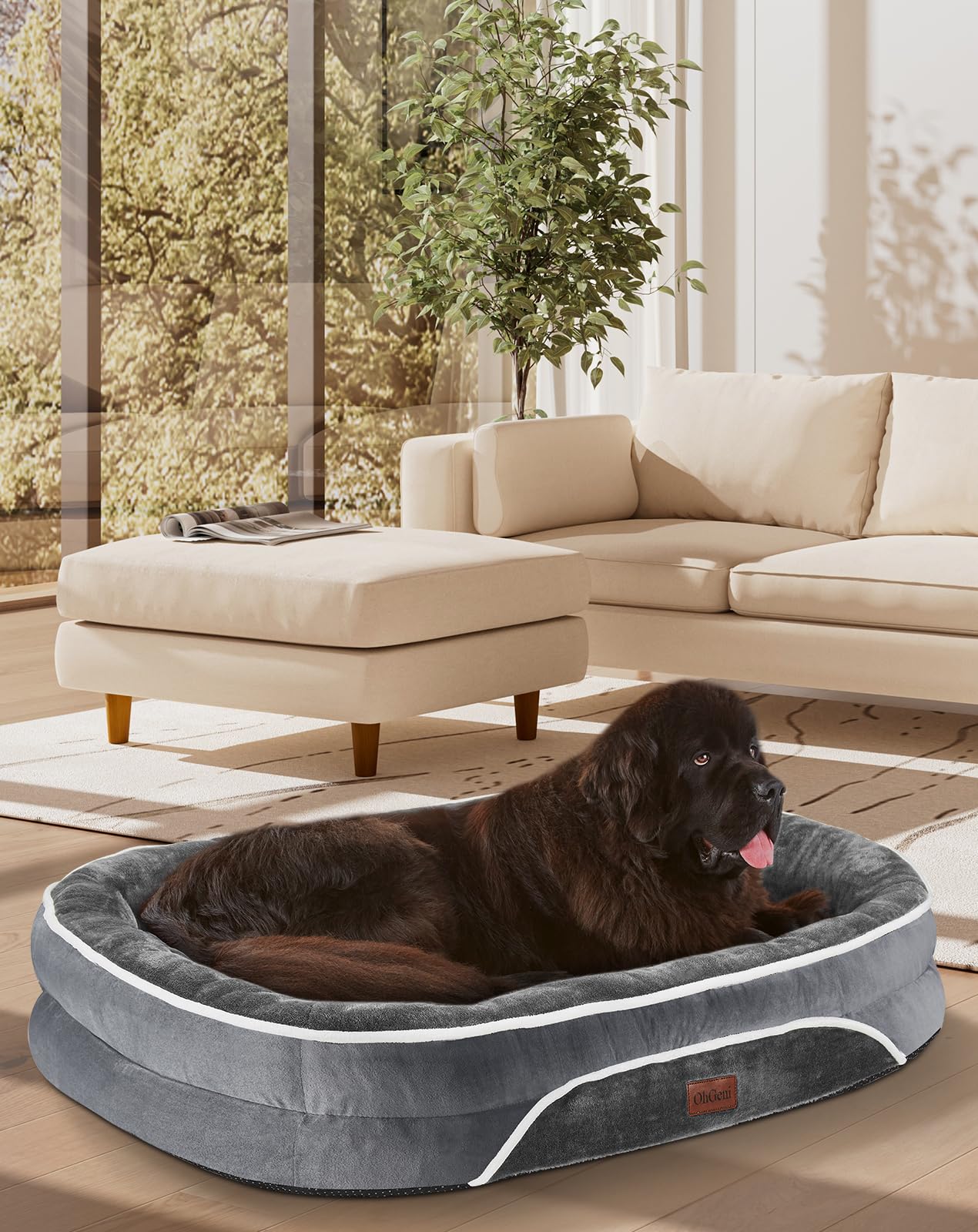 OhGeni Orthopedic Dog Bed Couch for Large Sized Pets with Egg Foam Support, Four-Sided Bolster Cushions, Soft Tear-Resistant Fabric, and Removable Machine Washable Plush Cover 35-Inch (Gray)